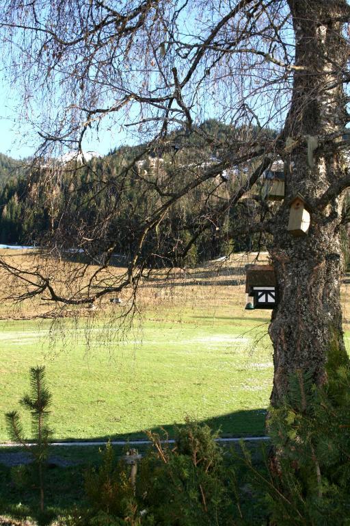 Pension Enzian Saalbach-Hinterglemm Exterior foto